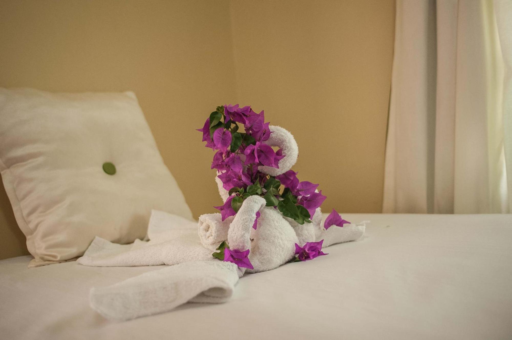 Clarridge View Guesthouse Montego Bay Buitenkant foto